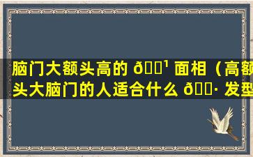 脑门大额头高的 🌹 面相（高额头大脑门的人适合什么 🌷 发型）